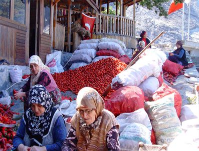 Saittabad kadınları salça gelirini hayır işinde kullanıyor