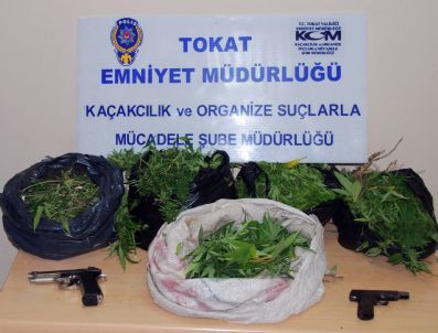 Tokat`ta Uyuşturucu Operasyonu