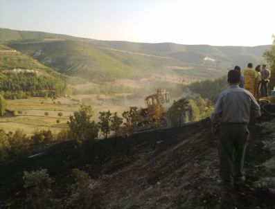 BORLU - Anız Ateşi 3 Hektarlık Ormanı Kül Etti