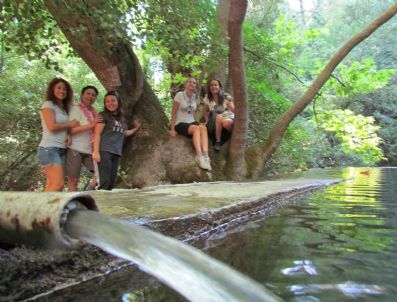 ZEUS - Dilek Yaramadası Milli Parkı Darphane Gibi