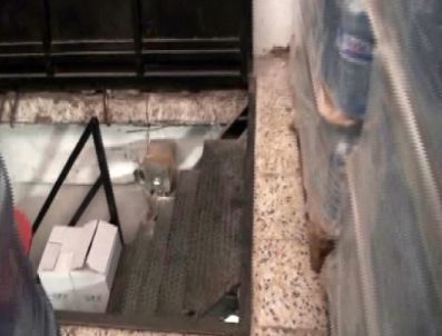 İzmir`de Sahte İçki Operasyonu