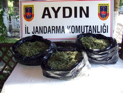 Nazilli’de Uyuşturucu Operasyonu