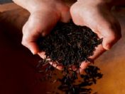 Dünyanın En Seçkin Mutfaklarının Tercihi: 'vahşi Pirinç'