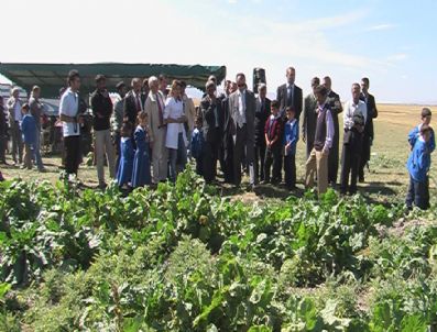 Eğitime Pancar Molası