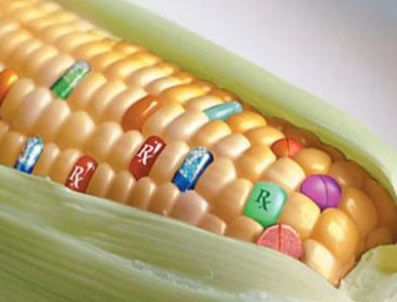 GDO ürünler sessiz sedasız geliyor