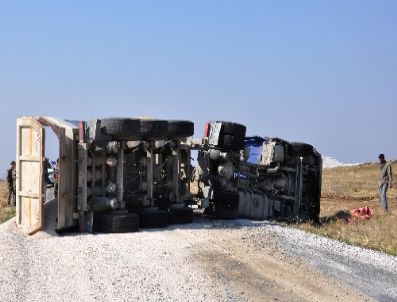 İneğe Çarpmak İstemeyen Sürücü Ölümden Döndü