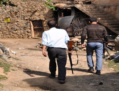 Kurtlar Koyun Sürüsüne Saldırdı