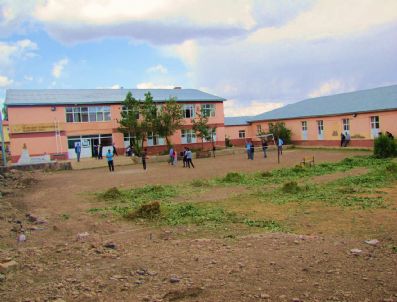 Öğrencilerin Gözü Önünde Ağaç Katliamı