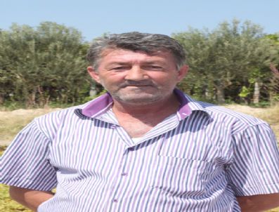 SAYıSAL LOTO - Sarıgöllü Milyoner Üzüm Bağında Çalışıyor