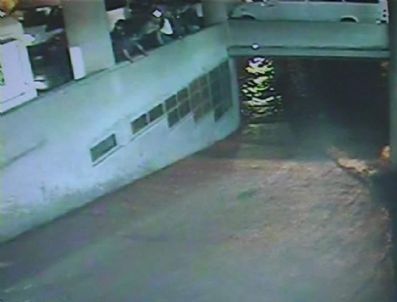 Sel Suları Altında Kalan 32 Otomobil 5 Gün Sonra Çıkarıldı