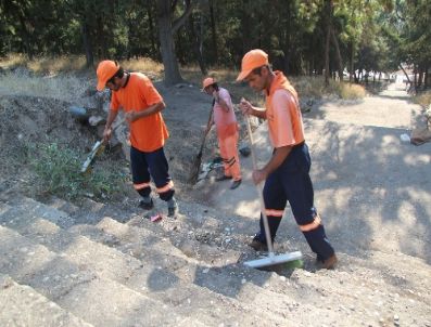 Yumuktepe Höyüğü Temizlendi