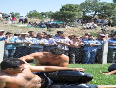 KAZıM ŞAHIN - Anadolu’nun Kırkpınar’ına Yoğun İlgi