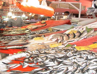 Balık Sezonu Ucuz Başladı