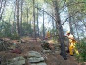 Bodrum`un Mumcular Beldesinde Orman Yangını