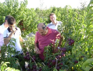 “tarımsal İstihdam İşsizliği Azaltır”