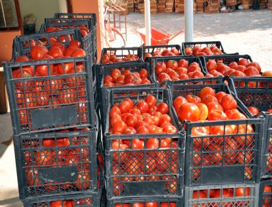 Yerli Ürünler Sebze Meyve Fiyatlarını Düşürdü