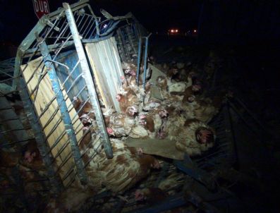 Yozgat`ta Trafik Kazası: 7 Yaralı