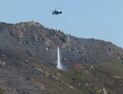 Bodrum’da Makilik Alanda Çıkan Yangın Söndürüldü