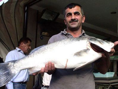 Denizden büyük ikramiye çıktı