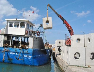 Karadeniz’de Balık Türlerini Geliştirmek İçin Yapay Resifler Yerleştiriliyor