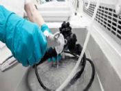 Taşeron işçiye kadro müjdesi