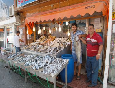 Balıkçı Tezgahları Balık Doldu