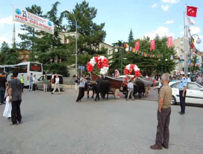 Festivalde Huysuzlanan Manda Sahibini Sürükledi