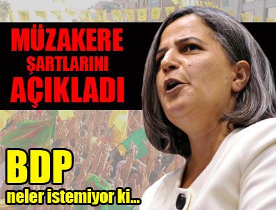 İşte BDP'nin müzakere için şartları