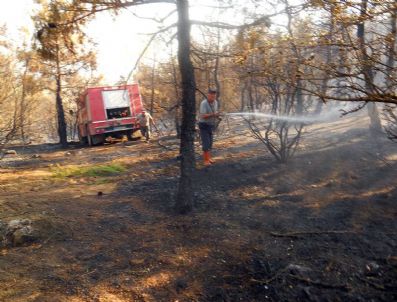Keşan'da Orman Yangını