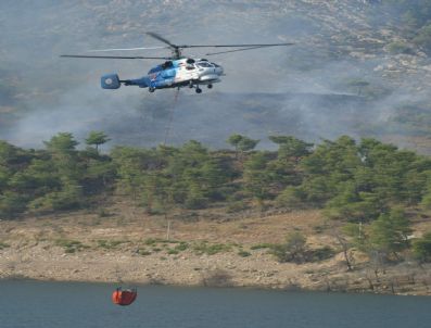 Milas'ta Orman Yangını