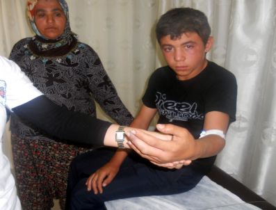 BELÖREN - Üzüm Toplarken Yılan Soktu