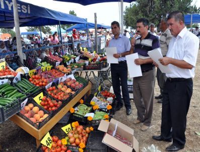 7. Yayla Köyleri Yaş Sebze Meyve ve Kültür Festivali