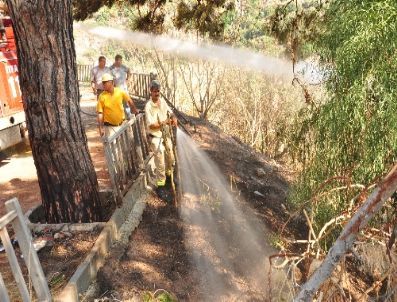 Ölüdeniz’deki Orman Yangını Korkuttu