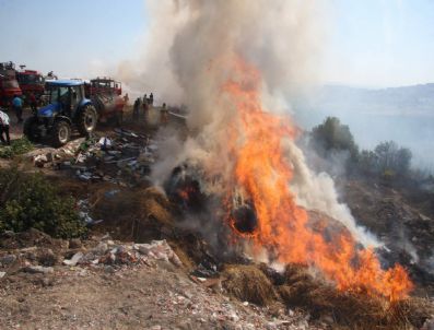 ULUDAĞ ÜNIVERSITESI REKTÖRÜ - Uludağ Üniversitesi ormanındaki yangında sabotaj şüphesi