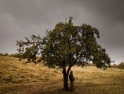 Cannes'ın 'Büyük Ödül'lü filmi 23 Eylül'de vizyonda