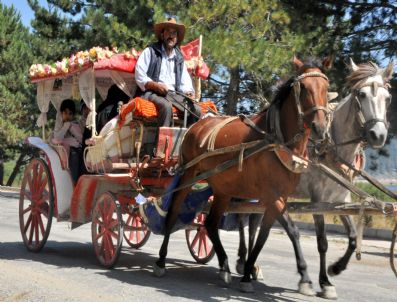 Araplar Abant'ta Fayton Keyfi Yapıyor