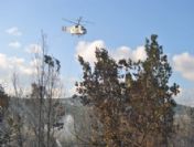 Beykoz'da Orman Yangını