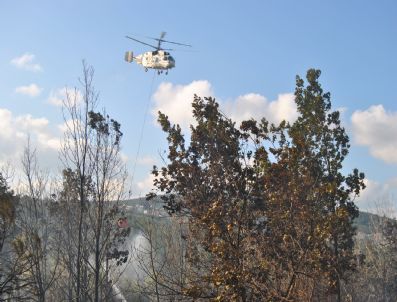 Beykoz'da Orman Yangını