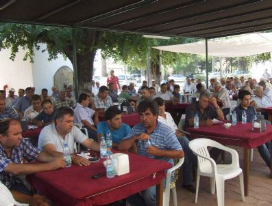 İhalede Limonlar Dalında Kaldı