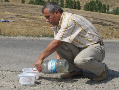 (özel Haber) Sokak Hayvanları Susuz Kalmayacak