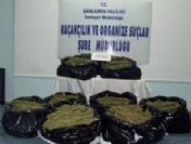 Şanlıurfa Polisinden Zehir Tacirlerine Darbe