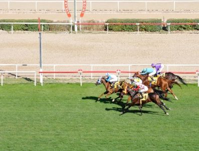 Atlar Yenimahalle İçin Koştu