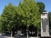 Çankaya Belediyesi'nden Açılışlar