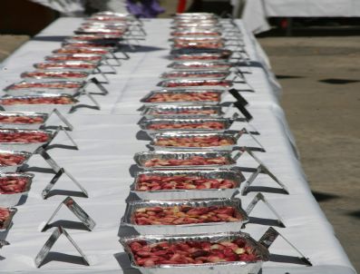 ALI SERINDAĞ - En İyi Antep Fıstığı Yarışması Yapıldı