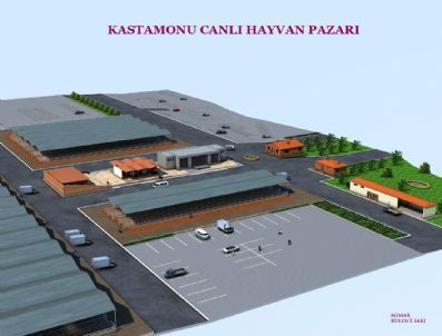 Kastamonu Canlı Hayvan Pazarının Tanıtımı Yapıldı