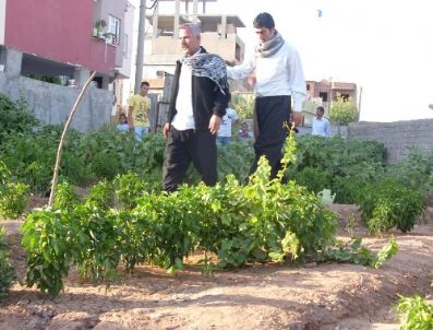 Silopi`de `dermansız Dert`in Film Çekimleri Tekrar Başladı