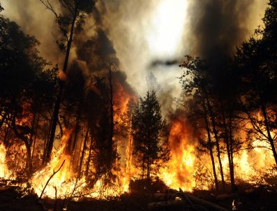 OREGON - Teksas`taki Yangınlarda Binlerce Kişi Tahliye Edildi