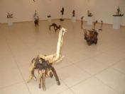 Ağaç Köklerinden Sergi Açtı