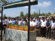 Baba İle Oğul Aynı Kaderi Paylaştı