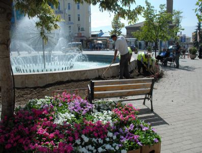 Belediye Önü Çiçeklerle Renklenecek